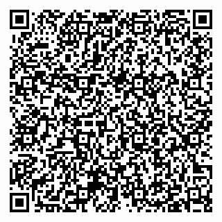 vCard 79397003733