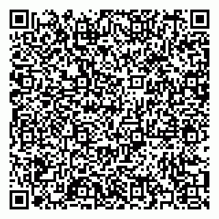 vCard 79397004013