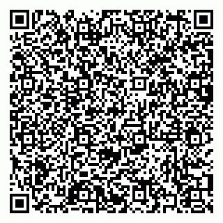 vCard 79397004039