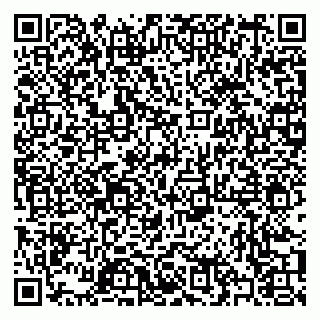 vCard 79397004063