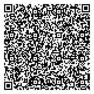vCard 79397004093