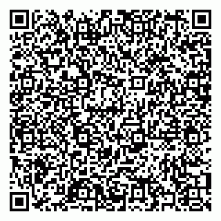 vCard 79397004096