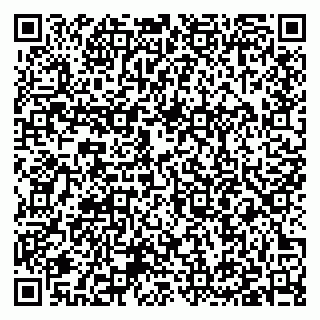vCard 79397004211