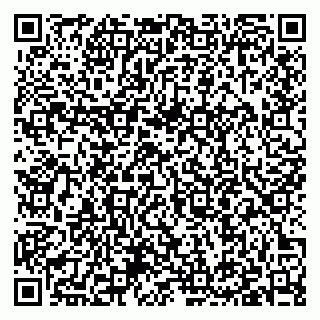 vCard 79397004331