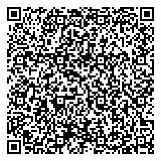 vCard 79397004387