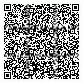 vCard 79397005840
