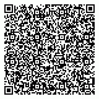vCard 79397005881