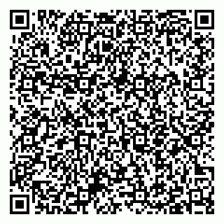 vCard 79397051311