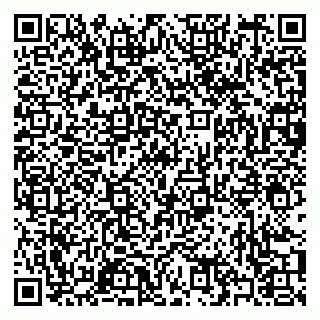 vCard 79397051333