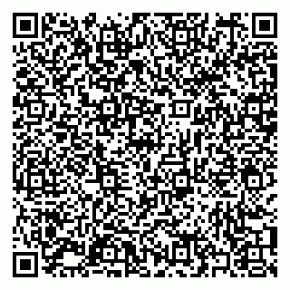 vCard 79397053009
