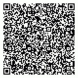 vCard 79397053130