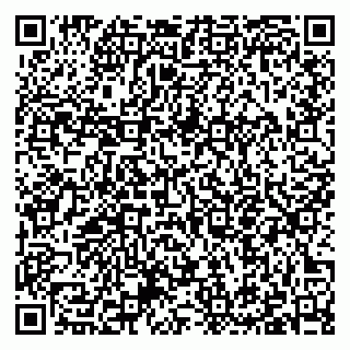vCard 79397053207