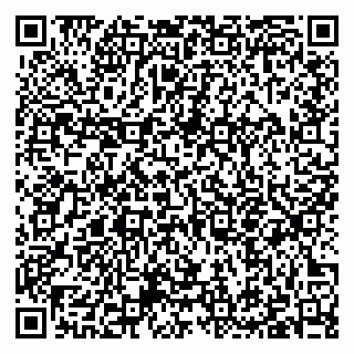 vCard 79397053211