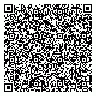 vCard 79397053921