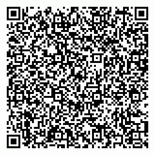 vCard 79397055313