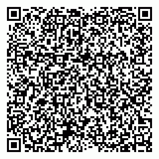 vCard 79397061273