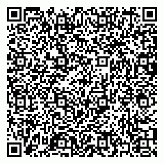 vCard 79397061330