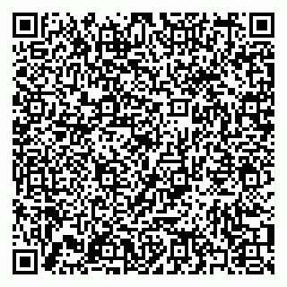 vCard 79397065285