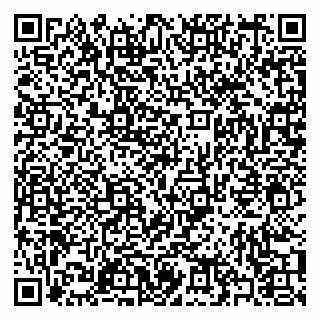 vCard 79397065385