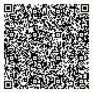 vCard 79397067217