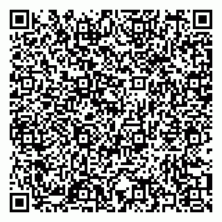 vCard 79397067503