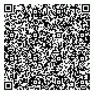 vCard 79397067731
