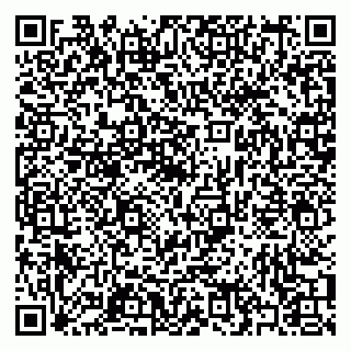 vCard 79397073204