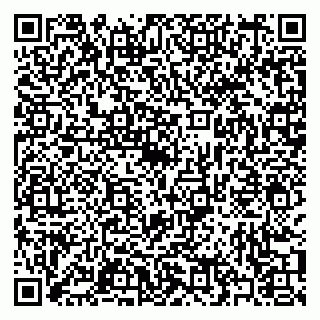 vCard 79397073209