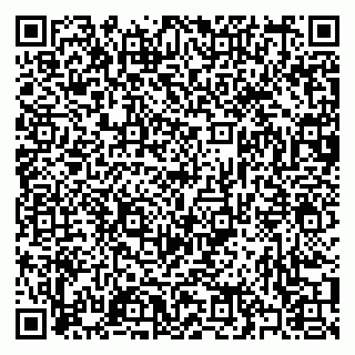 vCard 79397073335
