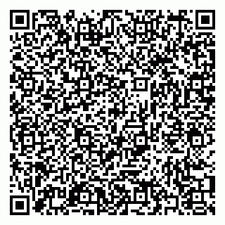 vCard 79397073381