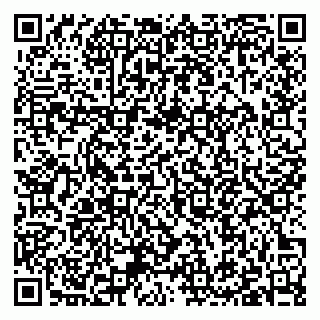 vCard 79397074331