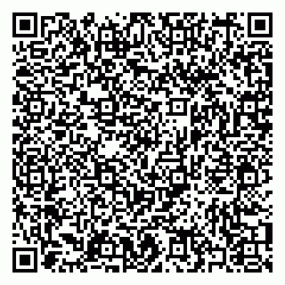 vCard 79397076385