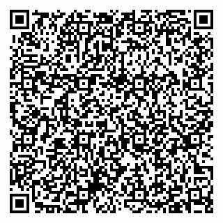 vCard 79397077203