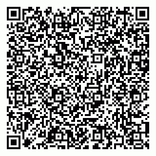 vCard 79397077329