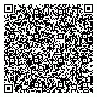 vCard 79397077373