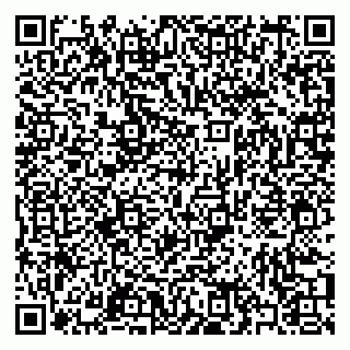 vCard 79397077387