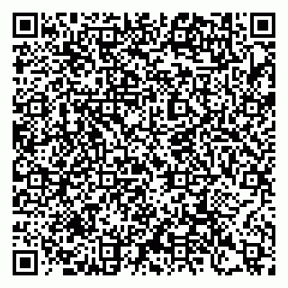 vCard 79397077703