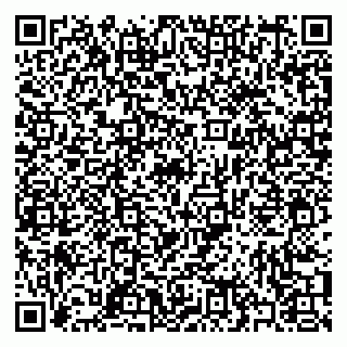 vCard 79397077882
