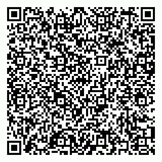 vCard 79397078127