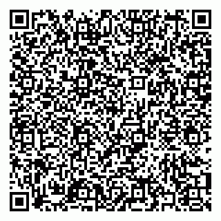 vCard 79397078203