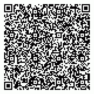vCard 79397078205