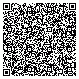 vCard 79397079131
