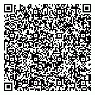 vCard 79397079133