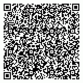 vCard 79397079171