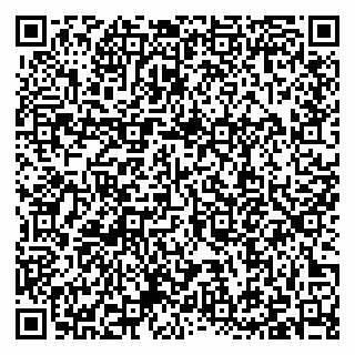 vCard 79397079173