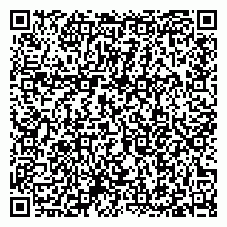 vCard 79397079203