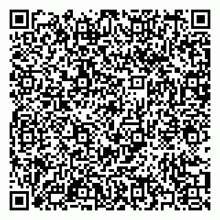 vCard 79397079313
