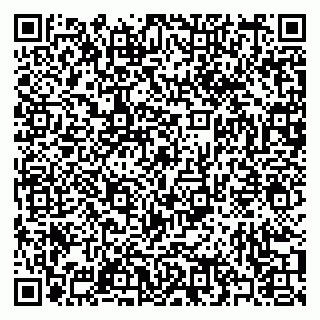 vCard 79397079315