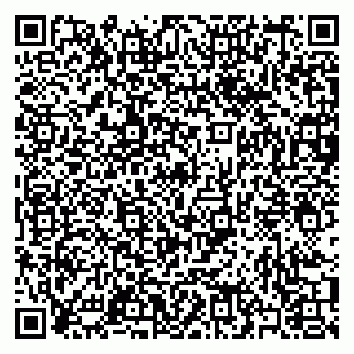 vCard 79397079333
