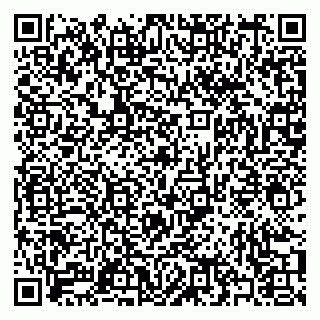 vCard 79397079357
